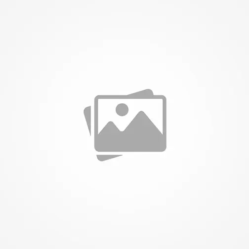 MSc Thesis in Engineering Systems and Management